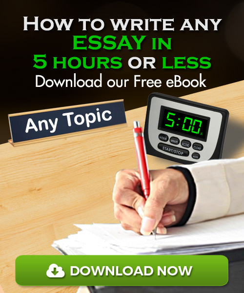 buy custom essay papers